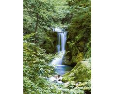 Idealdecor Fototapete, Bunt