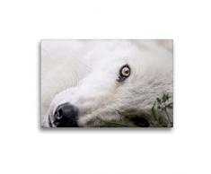 Premium Textil-Leinwand 45 x 30 cm Quer-Format Weißer Wolf von Kanada | Wandbild, HD-Bild auf Keilrahmen, Fertigbild auf hochwertigem Vlies, Leinwanddruck von Arnaud Camel