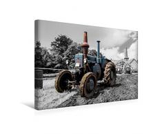 Premium Textil-Leinwand 45 x 30 cm Quer-Format Lanz Bulldog | Wandbild, HD-Bild auf Keilrahmen, Fertigbild auf hochwertigem Vlies, Leinwanddruck von Andrea Dreegmeyer