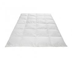 Frau Holle Daunen-Bettdecke für den Winter aus 100% Gänsedaunen, 155 x 220 cm, 920 g - 2214-20