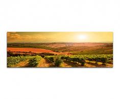 Panoramabild auf Leinwand und Keilrahmen 150x50cm Weinberge Landschaft Sonnenaufgang
