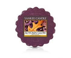YANKEE CANDLE Herbstglühen Duftwachs Törtchen, 22 g, Plastik, Violett, 5.6 x 5.6 x 1.5 cm