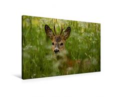 Premium Textil-Leinwand 90 x 60 cm Quer-Format Versteck in der Wiese | Wandbild, HD-Bild auf Keilrahmen, Fertigbild auf hochwertigem Vlies, Leinwanddruck von Sabine Grahneis