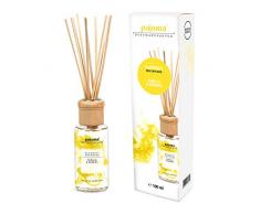 pajoma Raumduft Vanilla & Berries, 1er Pack (1 x 100 ml) in Geschenkverpackung