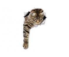 Winston & Bear 3D Katze Aufkleber - 2er-Pack - Tabby Aufkleber für Wand, Kühlschrank Tabby Katze Aufkleber zu erreichen