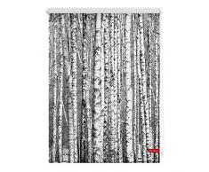 Lichtblick Rollo Klemmfix, 120 x 150 cm mit Motiv Birken - Schwarz-Weiß Montage ohne Bohren, moderner Sicht-und Sonnenschutz, Motivrollo, lichtdurchlässig & Blickdicht