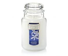 YANKEE CANDLE Duftkerze im Glas, Midnight Jasmine