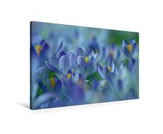Calvendo Premium Textil-Leinwand 90 cm x 60 cm quer, FrÃ¼hlingstraum in Blau | Wandbild, Bild auf Keilrahmen, Fertigbild auf echter Leinwand, Leinwanddruck: Farbtupfer der Natur Natur Natur