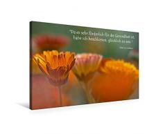 Calvendo Premium Textil-Leinwand 75 cm x 50 cm quer, Ringelblumen | Wandbild, Bild auf Keilrahmen, Fertigbild auf echter Leinwand, Leinwanddruck: Zitat von Voltaire Kunst Kunst