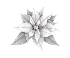 Spellbinders Weihnachtsstern 3D Shading Stempel, Mehrfarbig