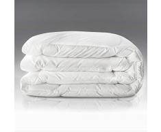 AmeliaHome Antibakterielle Bettdecke 200x220 cm zweischichtig 4 Jahreszeiten Mikrofaser Weich Kuschelig Steppdecke mit Antibact Füllung Defender