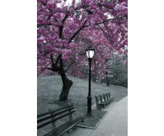 New York - Central Park - Blossom Blumen Pflanzen Poster Plakat Druck - Grösse 61x91,5 cm