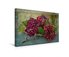 Calvendo Premium Textil-Leinwand 45 cm x 30 cm quer, EIN Motiv aus dem Kalender Floral | Wandbild, Bild auf Keilrahmen, Fertigbild auf echter Leinwand, Leinwanddruck Natur Natur