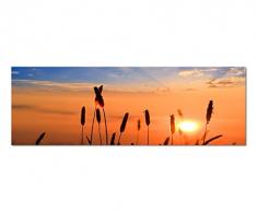 Panoramabild auf Leinwand und Keilrahmen 150x50cm Getreide Feld Sommer Sonnenuntergang