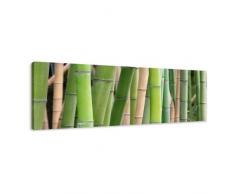 Visario Leinwandbilder 5705 Bild auf Leinwand Bambus, 120 x 40 cm