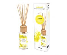 pajoma Raumduft Lemongras Ginger, 1er Pack (1 x 100 ml) in Geschenkverpackung