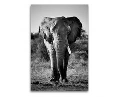 Calvendo Premium Textil-Leinwand 60 x 90 cm Hoch-Format Elefantenbulle im Etosha Park | Wandbild, HD-Bild auf Keilrahmen, Fertigbild auf hochwertigem Vlies, Leinwanddruck von Robert STYPPA