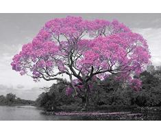 Tree - Blossom - Poster - Bäume Blumen Pflanzen - Poster Plakat Druck - Größe 91,5x61cm