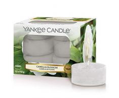 Yankee Candle Classic Teelichter, Wachs, weiß, nicht zutreffend