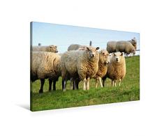 Premium Textil-Leinwand 90 x 60 cm Quer-Format Die Drei vom Deich | Wandbild, HD-Bild auf Keilrahmen, Fertigbild auf hochwertigem Vlies, Leinwanddruck von Steffani Lehmann