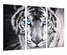 Wandbild - Schwarz-Weiß-Tiger, blaue Augen, Tiere, 97 x 62 cm, Holzdruck - XXL Format - Kunstdruck, ref.26618