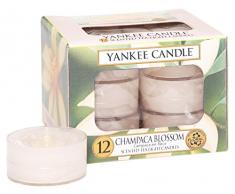 Yankee Candle Teelicht, Champaca Blossom, Duftkerze, Stövchenlicht, 12er Pack, Teelichte, 1302679E