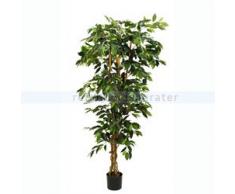 MICA Decorations Ficus Benjamin im Kunststofftopf Kunstpflanze, Polyester, grün, 100 x 100 x 180 cm, 2-Einheiten