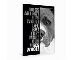 Calvendo Leinwand American Staffordshire Terrier 80x120cm, Special-Edition Wandbild, Bild auf Keilrahmen, Fertigbild auf Hochwertigem Textil, Leinwanddruck, Kein Poster
