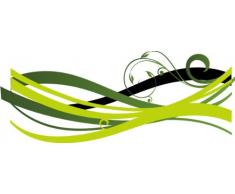 Indigos 4051719735994 Wandtattoo MF204 Tribal Ranke Pflanze Blume Retro 40 x 15 cm