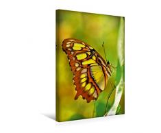 Premium Textil-Leinwand 30 x 45 cm Hoch-Format Ein Bild des Moments Schmetterlingskalender | Wandbild, HD-Bild auf Keilrahmen, Fertigbild auf hochwertigem Vlies, Leinwanddruck von Patrice ThÃ©bault