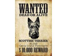 Wanted Dead or Alive - Scottish Terrier Scottie $10.000 Reward blechschild