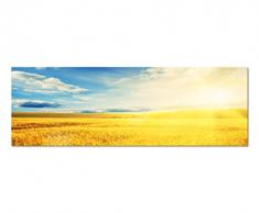 Paul Sinus Art Panoramabild auf Leinwand und Keilrahmen 150x50cm Kornfeld SpÃ¤tsommer Sonnenstrahlen
