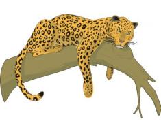 INDIGOS 4051719870299 Wandtattoo ME275 Leopard SchÃ¶nheit klettern 80 x 52 cm