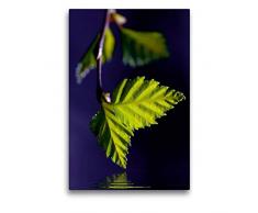 Premium Textil-Leinwand 50 x 75 cm Hoch-Format Naturschönheiten | Wandbild, HD-Bild auf Keilrahmen, Fertigbild auf hochwertigem Vlies, Leinwanddruck von Gabi Siebenhühner