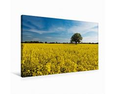 Premium Textil-Leinwand 75 cm x 50 cm Quer Ein Motiv aus Dem Kalender Lichtreise durch Schleswig-Holstein | Wandbild, Bild auf Keilrahmen, Fertigbild auf Echter Leinwand, Leinwanddruck