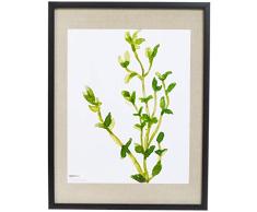AmazonBasics Bilderrahmen Holz, Galerie-Stil, 48 x 64 cm für Bilder mit einer Größe von 41 x 51 cm, Schwarz, 2 Stück
