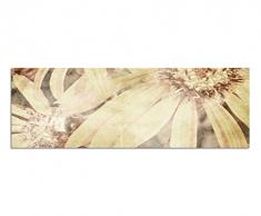 Panoramabild auf Leinwand und Keilrahmen 150x50cm Astern Blumen Nahaufnahme Vintage