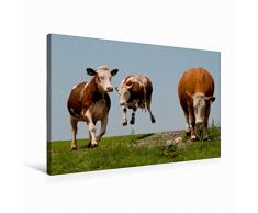 Calvendo Premium Textil-Leinwand 75 cm x 50 cm Quer Kuh im Flug | Wandbild, Bild auf Keilrahmen, Fertigbild auf Echter Leinwand, Leinwanddruck