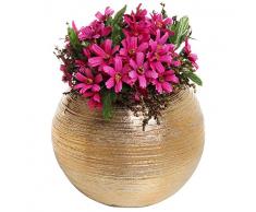 Runde Moderne Vase, Metallisch-Gold, Keramik, Blumen-/Pflanzengefäß, Topf/Deko-Schale, Vase, 17,1 cm
