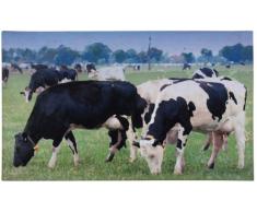 Esschert Design Türmatte, Recyceltes Gummigranulat, Polyestervlies, bunt, 76 x 46 x 0.4 cm