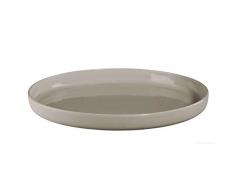 ASA 4403623 Nova Schale, Feinstein