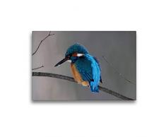 Premium Textil-Leinwand 45 x 30 cm Quer-Format Eisvogel | Wandbild, HD-Bild auf Keilrahmen, Fertigbild auf hochwertigem Vlies, Leinwanddruck von Winfried Erlwein