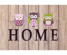 oKu-Tex Fußmatte | Schmutzfangmatte | Deco-Style Entrance | Home Eulen | Aufdruck bunt | für innen | Eingangsbereich / Haustür / Treppenhaus | rutschfest | 40x60 cm