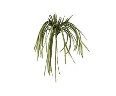 EUROPALMS 82531062 Kunstpflanze Posidonia Eva, grün