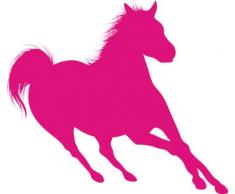 INDIGOS 4051095056423 Wandtattoo w617 Pferd Wandaufkleber in 3 Größen, 120 x 66 cm, rosa