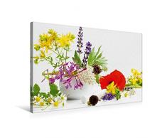Premium Textil-Leinwand 75 x 50 cm Quer-Format Bunte Wildkräuter aus dem Naturgarten | Wandbild, HD-Bild auf Keilrahmen, Fertigbild auf hochwertigem Vlies, Leinwanddruck von Avianaarts Design Fotografie by Tanja Riedel
