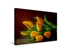 Calvendo Premium Textil-Leinwand 45 cm x 30 cm quer, EIN Motiv aus dem Kalender Tulpen | Wandbild, Bild auf Keilrahmen, Fertigbild auf echter Leinwand, Leinwanddruck: TulpenstrauÃ Natur Natur