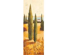 Eurographics CA2140 Hochwertiger Kunstdruck - Italien - Toskana, Claudia Ancilotti, Montecastello I 13 x 35 cm