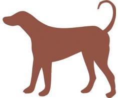 INDIGOS 4250380596167 Wandtattoo w057 Hund / Dog 120 x 103 cm, braun