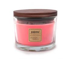 Pajoma Duftkerze Grapefruit-Cassis, 340 g, im Glas mit Holzdeckel, NEU Premium Edition, für circa 40 Stunden